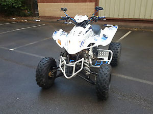 QUADZILLA 450 DINLI NOT 320 AUTOMATIC RAPTOR 660 700