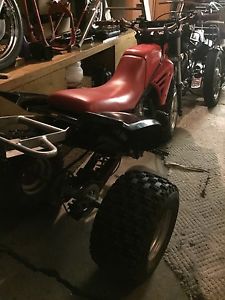 1986 Yamaha TRI-Z TZR 250 2 Stroke Very Clean ORIGINAL Bad Boy Death Machine :)