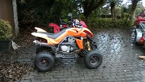 quadzilla /dinli 450/road legal quad/not raptor
