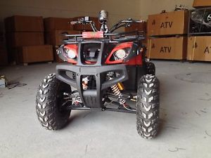 2014 Grizzly 250 Grizzly