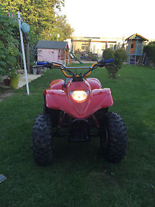 Apache 100cc 2 stroke & 50cc 4 stroke quads