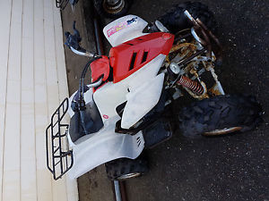 Quad 250cc