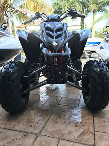 2009 Yamaha Raptor