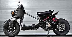 Customized by Shawn Lizjack/Dremel Tools Honda Ruckus