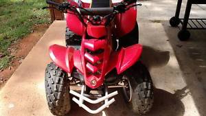 2005 E-TON-BY SUZUKI