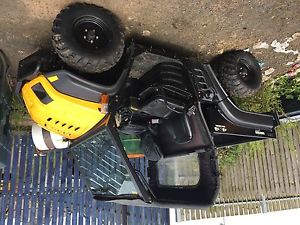 Cub Cadet UTV like Polaris or gator