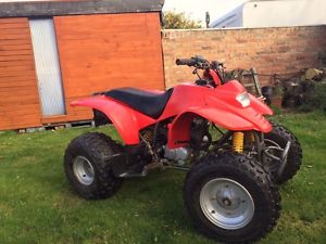 Adult Quad Field Bike