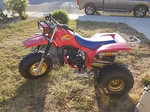 1984 Honda 250r