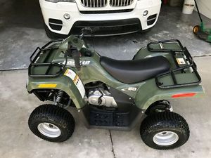 2006 Arctic Cat 50