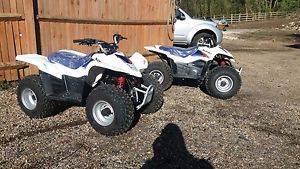 Suzuki Quad Bikes LT 50 x 2