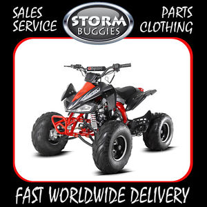 Panther 110cc Kids Petrol Quad Bike - Storm Quads - Fully Auto - 4 Stroke - ATV