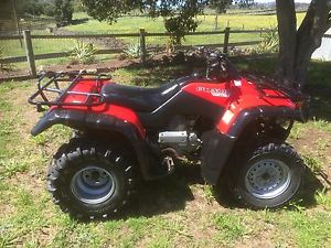 Honda TRX 350 2WD 2002