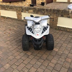 Apache RLX 100 SS Quad Bike