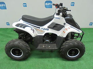 2016 Big Boy Puma 110cc Mini Quad {050752}