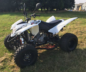 Quadzilla XLC 500 Road Legal Sports Quad 500cc White Nerf Bars Reverse Speedo