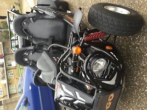 quadzilla 250 road legal buggy