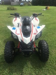 2009 CanAm DS250