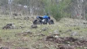 2015 gmx 125 blue quads
