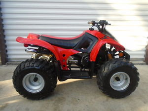2006 Can Am Bombardier DS50 ~Shipping Available for Xmas!~