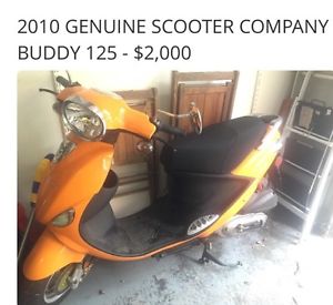 Genuine buddy Scooter