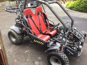 250cc 2 Seater Buggy