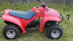1986 Yamaha 4 Zinger