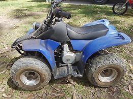 Kazuma Meerkat 50cc Quad