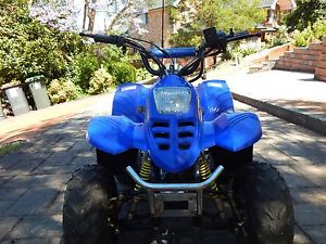 Meerkat C4 Quad Bike