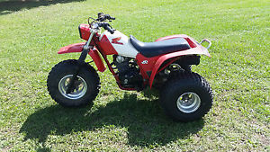 1984 Honda ATC 200X