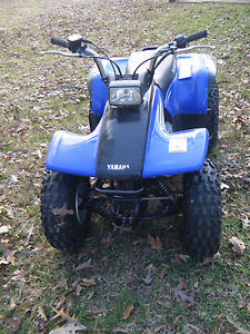 2004 Yamaha Breeze
