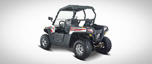 UTV 250 Sports SX Power Delphi Fuel Injection 12 Months Warranty Auto 229cc Eng