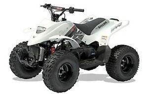 NEW QUADZILLA PRO SHARK S 100cc QUAD £1499.00