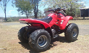 Honda Sportrax TRX 90 Quad