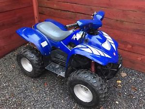 APACHE 10CC QUAD BIKE / ATV CHILDS MINT RUNNER - GREAT QUAD READY TO GO 2 STROKE