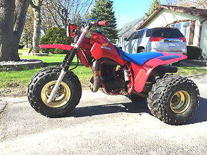 1984 Honda ATC250r