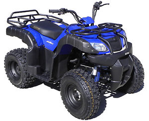 ELSTAR 250cc TANK QUAD 2x4 motorcycle farm motorbike off road atv vehicle NEW