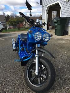 DAIX ICE BEAR MADDOG