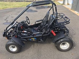 Twister Hammerhead 150 cc off road go cart / buggy