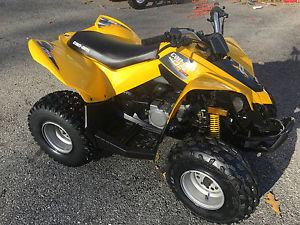 Can Am DS 90 ATV 2014