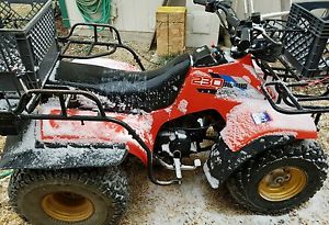 ATV, suzuki 230