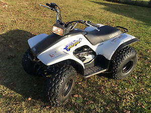 Yamaha Breeze 125 Quad, ROAD LEGAL