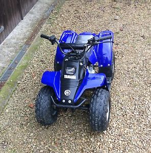 kids 50cc Kazuma Meercat Quad Bike