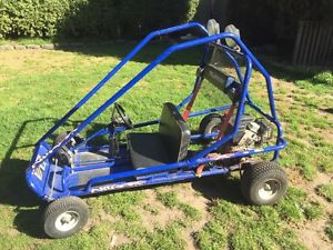 Go kart two seater buggy