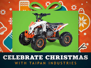 70cc Madix | Quad Bike | ATV | Kids Bike | Auto | 6” Mud Tyres | Taipan Motors