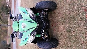 2011 Arctic Cat