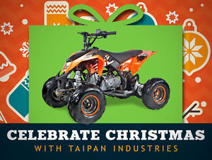 110cc Madix | Quad Bike | ATV | Elec Start | Auto | 7” Mud Tyres | Taipan Motors