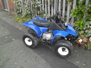 Kazuma Meerkat 50 cc  Childs Kids Quad Four Stroke