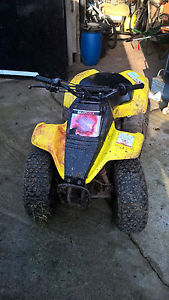 suzuki lt 80 quad