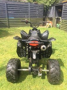 250cc quad bike