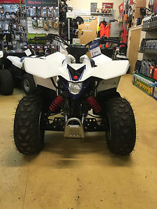 Suzuki LTZ 90 quad